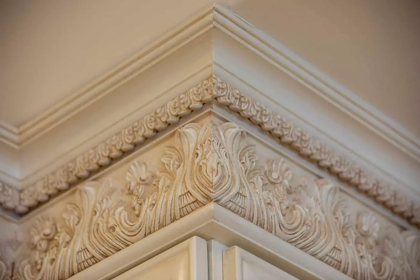 Carved crown moulding with egg-and-dart and acanthus detail